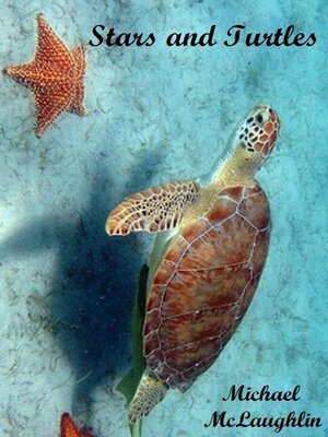 cover image of Stars and Turtles